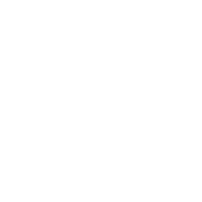 MirrorThink logo animation